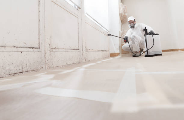 24/7 Emergency Black Mold Remediation experts in Bozman, MD
