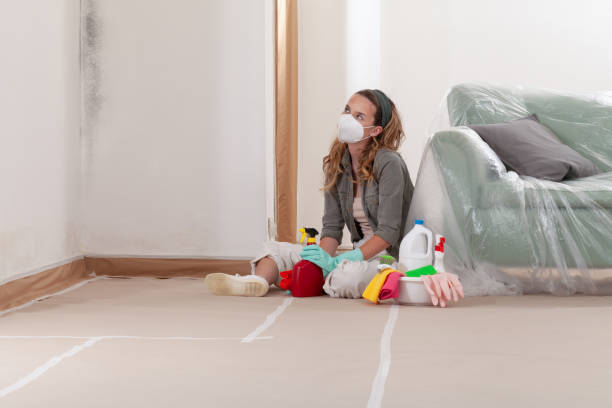 Reliable Black Mold Remediation contractor in Bozman, MD by 24 Hour Mold Removal